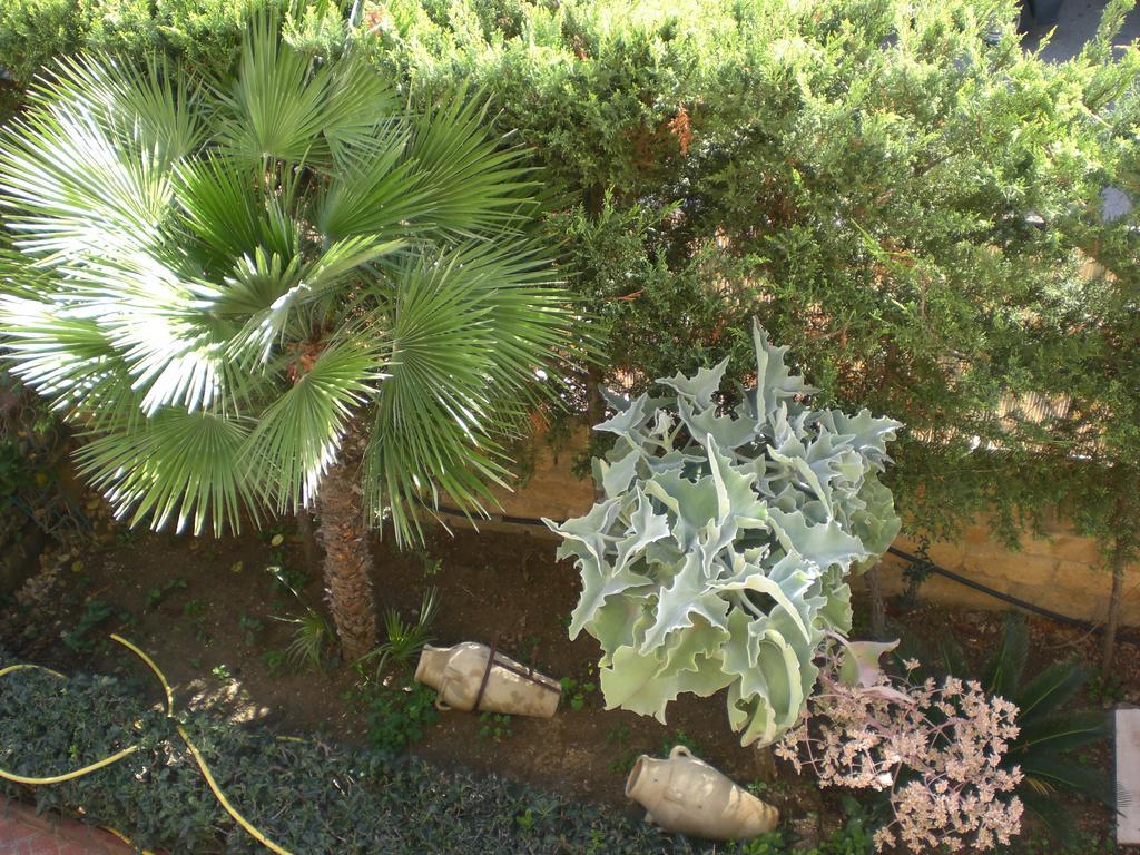 Bouganville San Leone Buitenkant foto